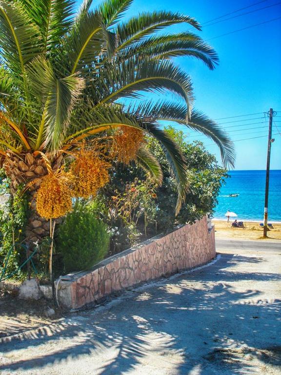Vistonia Apartment Agios Georgios Pagon Exterior photo